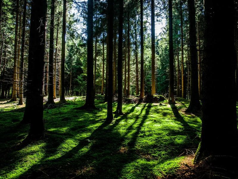Belmond Copacabana Palace