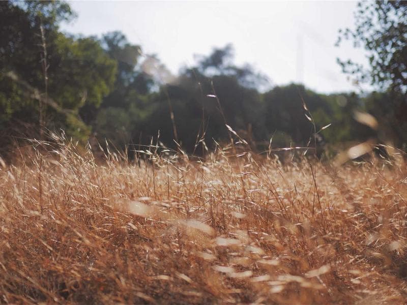 Grand Hyatt Rio de Janeiro